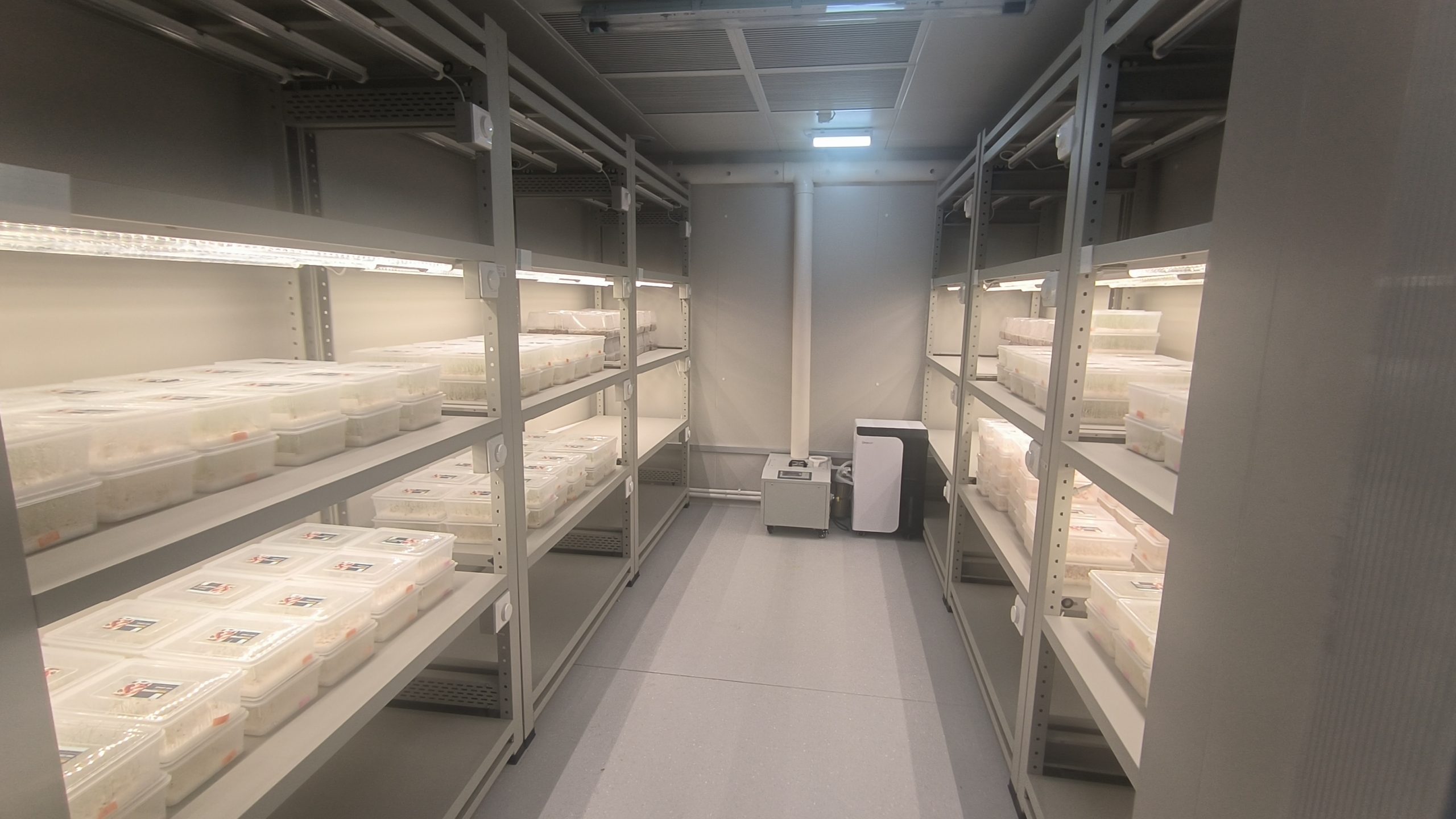 commercial seedling & plant factory solutions