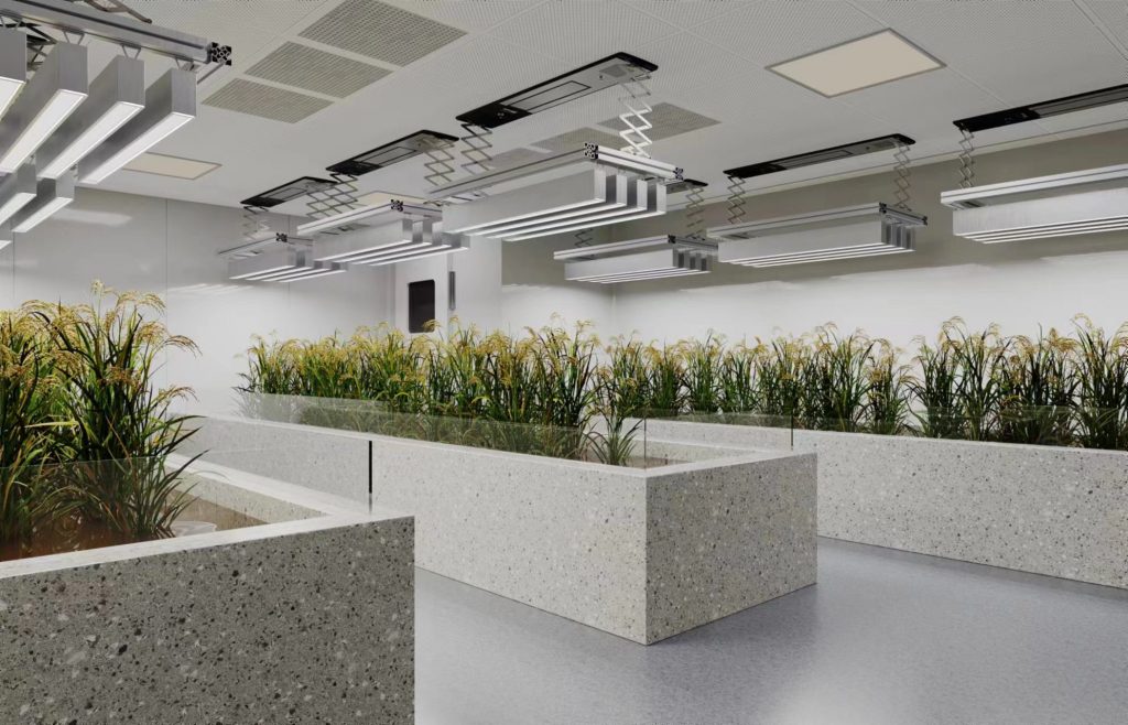 seedling nursery growth room