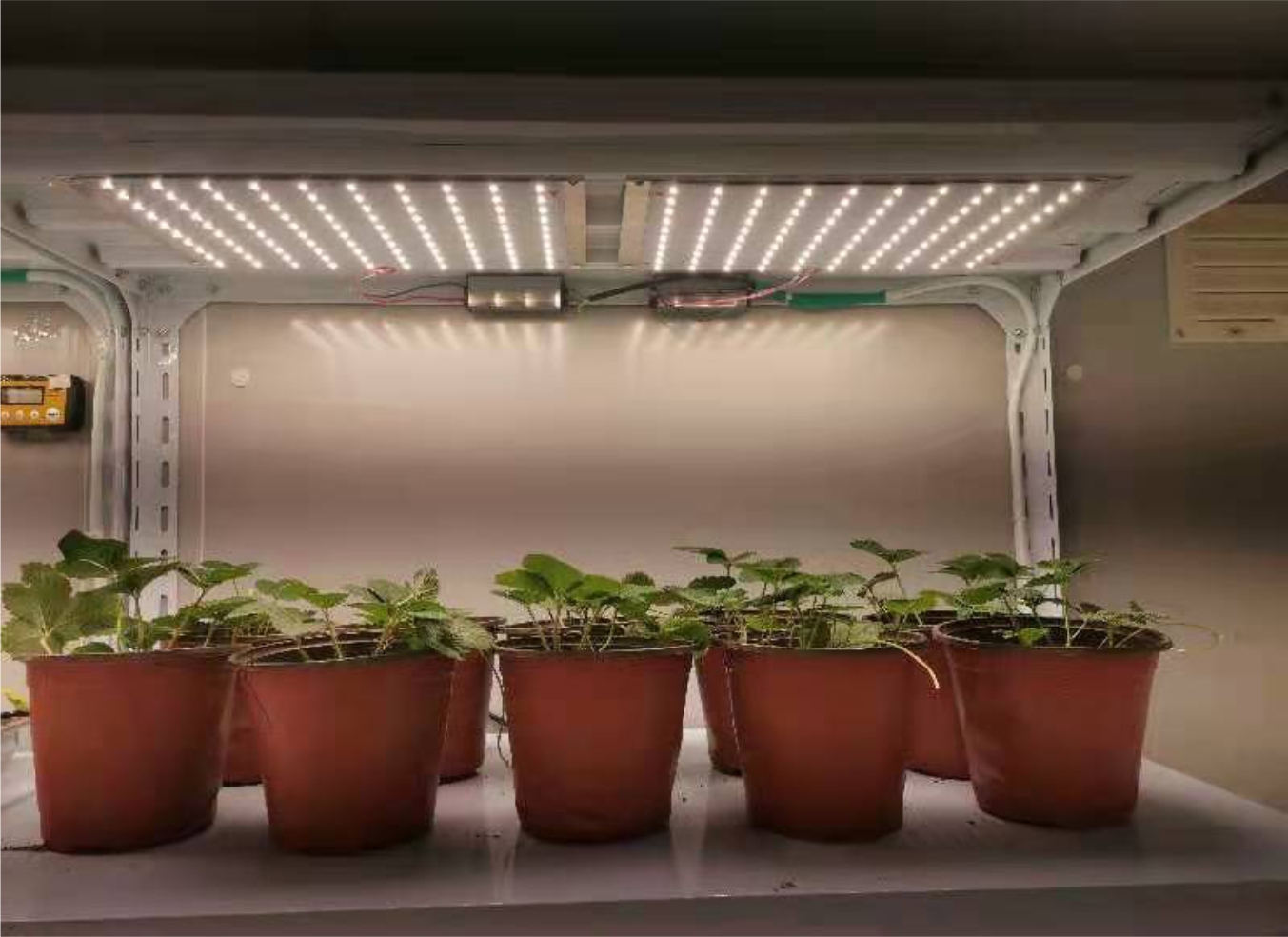 speed breeding & production oriented research facilities