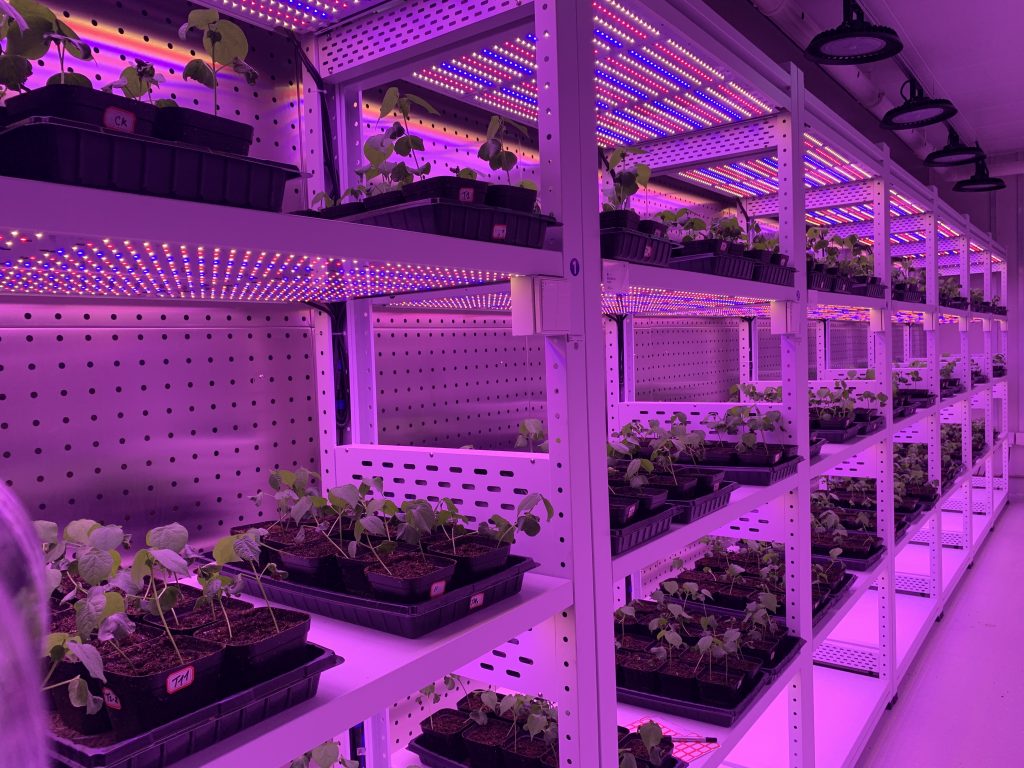 培养架型人工气候室 (12)