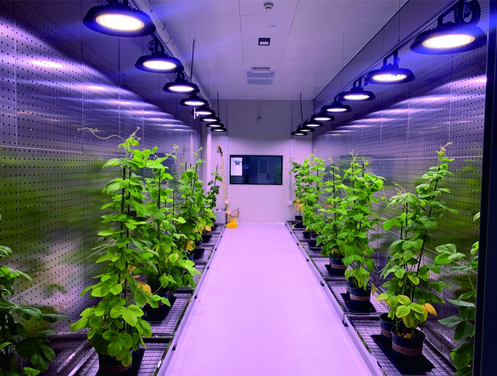 Applications for fundamental plant research under fully controlled conditions, supporting studies in plant physiology, environmental response, and experimental reproducibility across laboratories and research institutions.