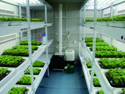Applications supporting commercial vertical farming and indoor plant factories, enabling year-round, climate-independent plant production with high space and resource efficiency.