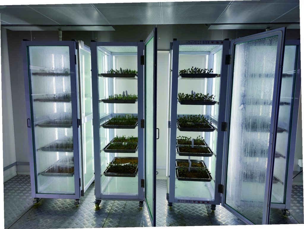 Specialized applications for seed germination testing, vigor assessment, and early growth evaluation, ensuring accurate and repeatable seed quality analysis under stable conditions.