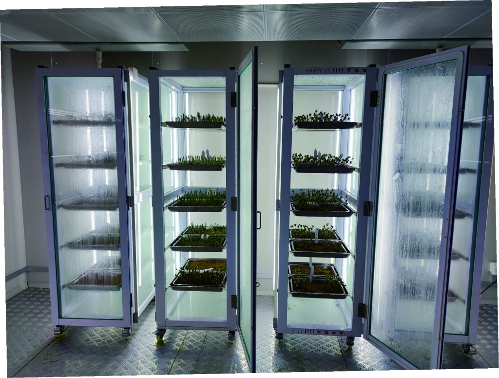 Specialized applications for seed germination testing, vigor assessment, and early growth evaluation, ensuring accurate and repeatable seed quality analysis under stable conditions.