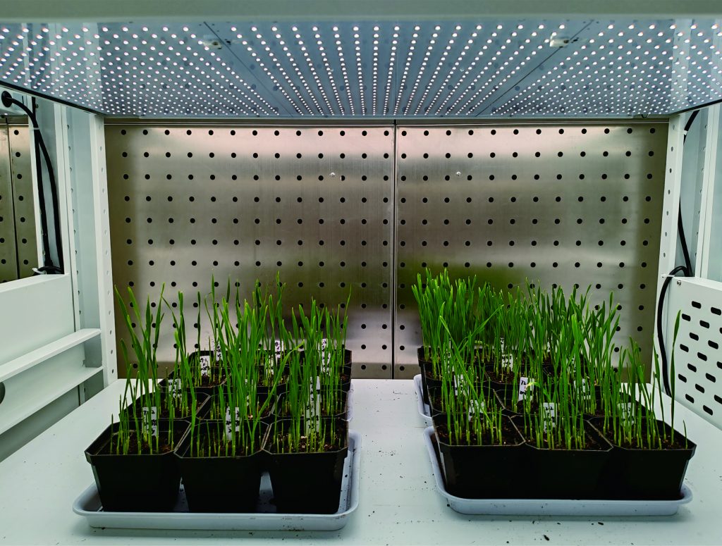 Controlled nursery applications for uniform seedling production, early-stage plant development, and commercial-scale propagation, supporting both research and production workflows.