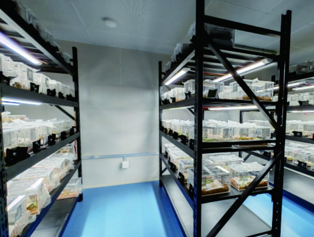 Controlled environment applications for insect rearing, life cycle observation, and entomology research, supporting plant–insect interaction and pest management studies.