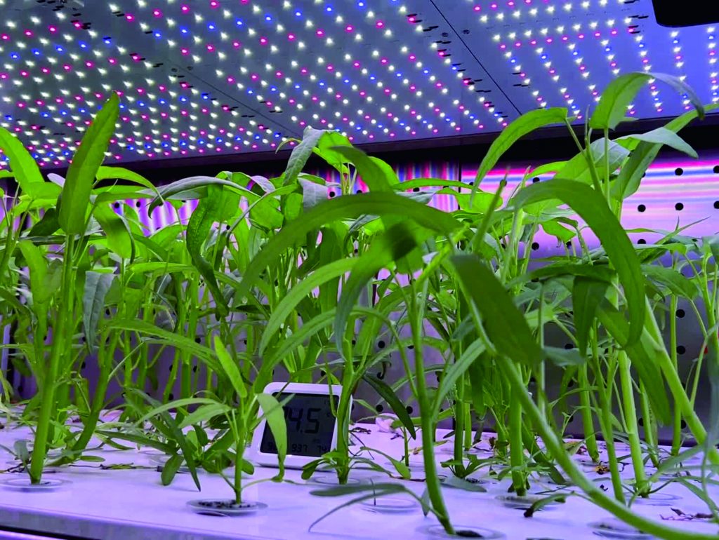 Applications designed for plant disease research, pathogen interaction studies, and controlled infection experiments, providing stable environments for reliable pathology testing.