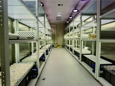 Applications for plant tissue culture, micropropagation, and sterile growth environments, providing precise environmental control for sensitive in vitro plant development processes.