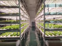 plant tissue culture room